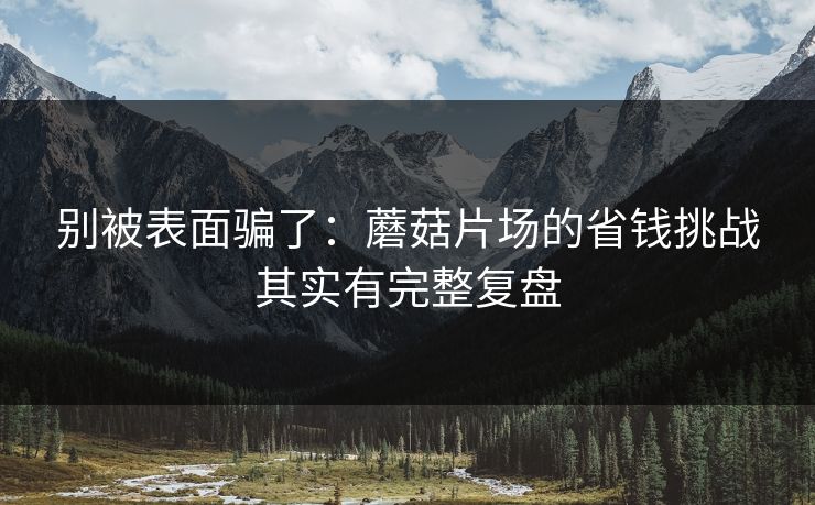 别被表面骗了：蘑菇片场的省钱挑战其实有完整复盘